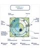 ГРИНЛОС Аква 4 - фото 4